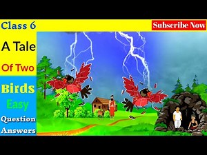 A Tale Of Two Birds Class 6 Question Answers |A Pact With The Sun Class 6 Chapter 1 Question Answers