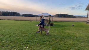 Let it flow ... 🦄🌈 Parendo Vinces Garrick Ollivander, obedience 20 months Inspire Ur Dog | Mia Skogster