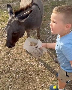 79 reactions · 7 comments | The story of God placing a cross on a...