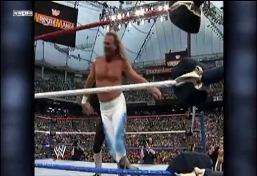 Wrestlemania 9: The Undertaker vs Jake "The Snake" Roberts Full Match