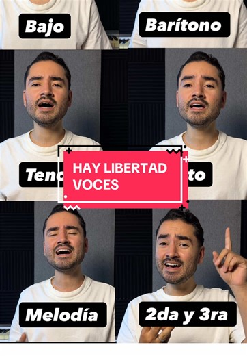 Hay Libertad / Voces ✨⛪️ Comenta la palabra “Corista” si quieres unirte a mi comunidad para que te enseñe cómo armonizar de esta manera. 🔥 #segundavoz #cantocristiano #haylibertad #corista #alabanza