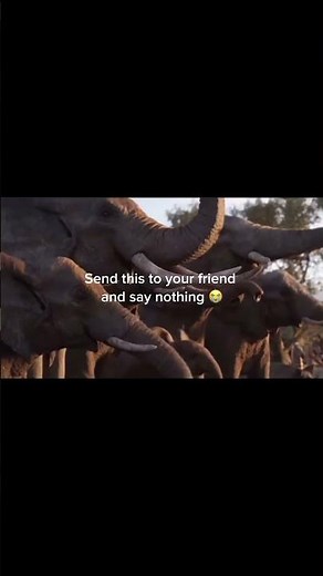 Send the to your friend and say nothing #memes