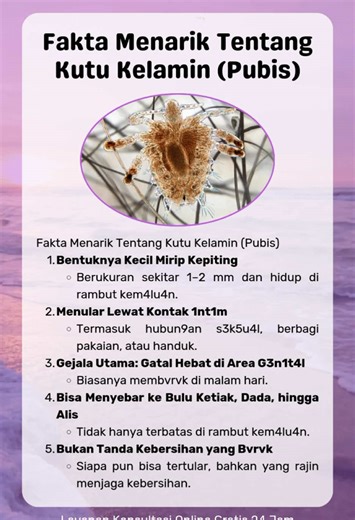 Fakta Menarik Tentang Kutu Kelamin dan Kesehatan