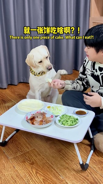 This dog is so particular about food, it's getting harder and harder to fool! #FunnyDog #CutePets...