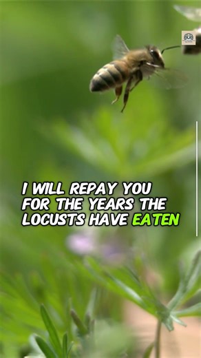 God Is Restoring My Finances #joel225 #financialblessing #restoration #faithoverfear #godprovides