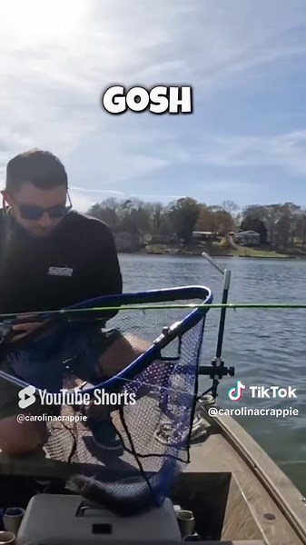 3 Pound Crappie?!? #personalbest #crappiefishing #bigfish