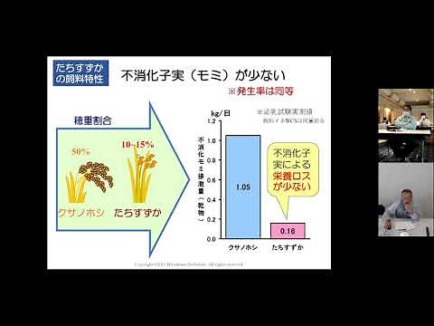 令和３年度イネWCS利用推進研修会 ③稲WCSについて（乳用牛編）