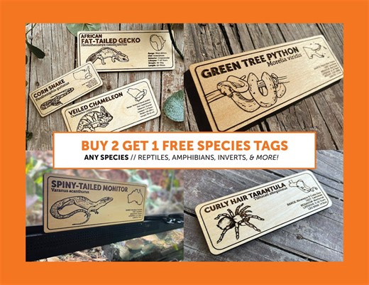 Custom Zoological Species Sign: Reptile, Amphibian, Invert Wooden Tag - Etsy