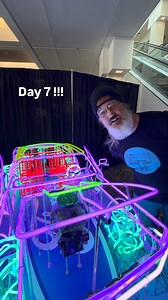 1.3K views · 234 reactions | We arrived just in time!!! When I walked up the owner of Fallon Neon was staring at the Mustang. They were one of the biggest manufacturers through the 80s and 90s for open Signs and Beer, Signs and Neon for restaurants. Glad we met today.. #detroit #auto #show #art #mustang | Bent Custom Neon | Facebook