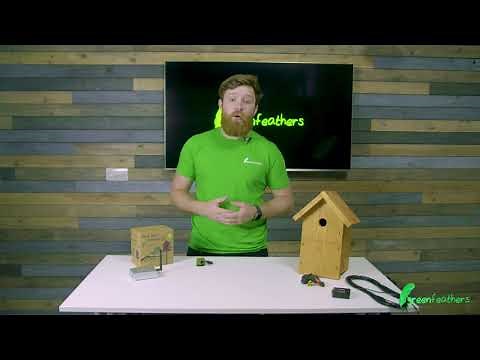 Bird Box Camera with Wireless Transmission | How Does it Work?
