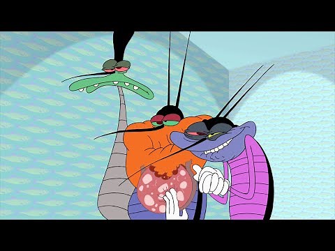 Oggy and the Cockroaches 🦂😎 COCKROACHES GANG COMPILATION 😎🦂 Full Episode HD