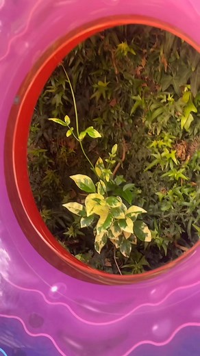 Elizabeth Alvarez on Reels