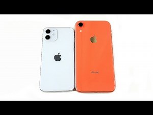 iPhone 12 Mini Size vs iPhone XR