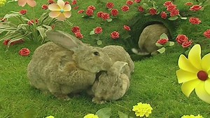 Teletubbies - S13E15 - Bluebells (5 January 2001)