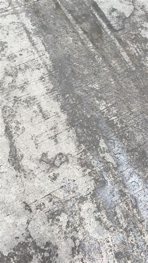 Top iPhone 13 Cases You Need to Check Out