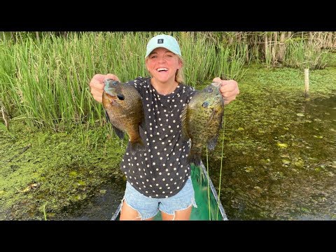 Finding the Perfect Bream Bed Unlocks the Secrets of Big Fish