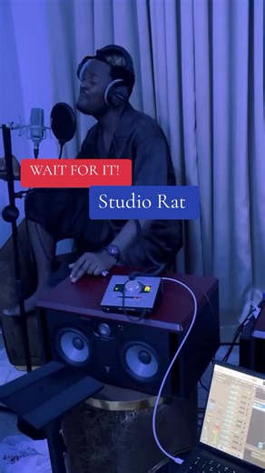 The Industry Rat's Cooking Adventure