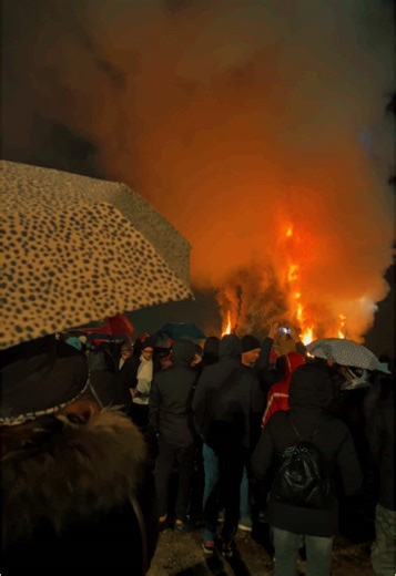 Big Fire in Italy #italy #💚💚💚 #trendingvideo #vivamexico #bangladesh