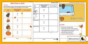 Fall Will It Float or Sink? Science Investigation for K-2nd Grade