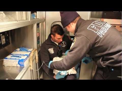 Baby Born in Back Seat of NYC Taxi