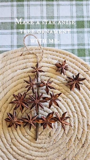 Star anise is perfect for easing decor from fall to winter and my love of this beautiful, star-shaped spice runs deep. There are so many ways to use it in simple winter decorating and I’m still working through a cheap bulk pack I bought last fall. (Comment “shop” if you need the link and check my “Star Anise” story highlight for more project ideas!) Reclaimed wood mug rack sign is available in my Etsy shop (link in bio). Follow along @handmadeonpoplar for simple and eco friendly DIY projects and