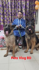 Dog | German Shepherd Biggest Dog,🐈#reels #pakhi #reelsviralfb #talkingparrot #viralvideochallenge #doglover #dog | Pets Vlog BD