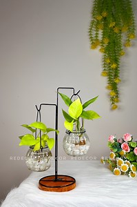 53K views · 401 reactions | Add a touch of nature to your home with this beautiful plants hanging  Limited Stock ‼️ Inbox For Order ✅#Alhamdulillah #review #clientlove #clientsatisfaction #clientsfeedback #happyclients #homedecorationwithredecor#redecor#wallhanging #lamp#planterpots #giftshop#bestgiftshopbd #giftshopbd#flowervase#flowerhanging | Redecor | Facebook