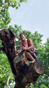 #peacock #trendingnow #shorts #sounds #kabirds | Papert tv channel