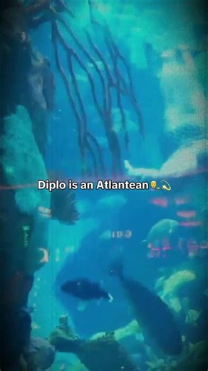 Diplo swimming in full mermaid mode 🐚🌊