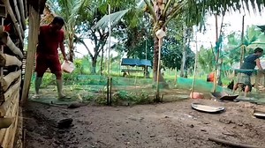 Farming Business Atbp on TikTok