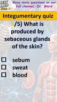 Integumentary System Quiz 🧴 | Anatomy & Physiology Integumentary System Practice Questions