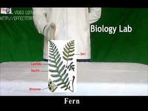 Practical Science class9 - Live Exp2