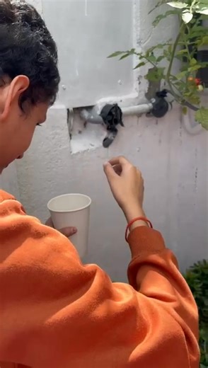 Finally, the day arrived. As part of their functional science module, our students created a living wall and took responsibility for their own plant. They watered it regularly, cared for it consistently, and practised patience over time, while learning what plants need for growth. Today, they harvested their cherry tomatoes. The excitement on their faces said everything. This was not just about tomatoes. It was about responsibility, consistency, cause and effect, and understanding that effort le