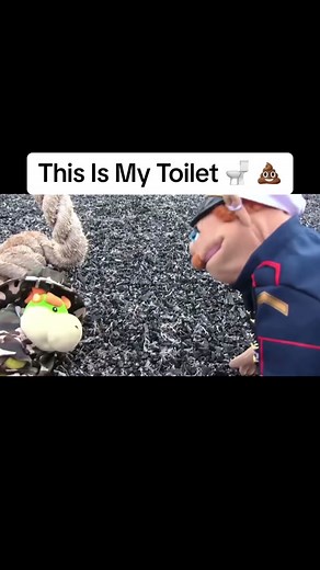 #toilet #thisismytoilet #brooklyntguy #brooklynguysml #smlbrooklynguy #bootcamp #militaryschool #toothbrush #junior #smljunior #juniorsml #smlbestmoments #smlfunnymoments #sml #childhoodnostalgia #funny #puppet #funny #smlclips #poobysml #fyp #fypシ #foryoupage #fypage #fypageシ #foryourpage #foryoupageofficiall #viral #viralvideo #viraltiktok #smloutofcontext #outofcontext