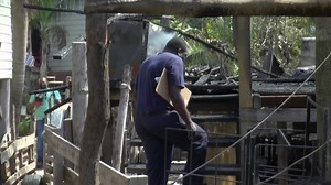 17K views · 215 reactions | Street Brawl Spills Into A Family's Home...