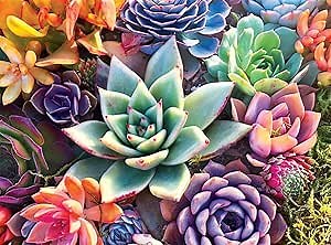 Buffalo Games - James Mertke - Simple Succulent - 1000 Piece Jigsaw Puzzle For Adults -Challenging Puzzle Perfect for Game Nights - Finished Size is 26.75 x 19.75