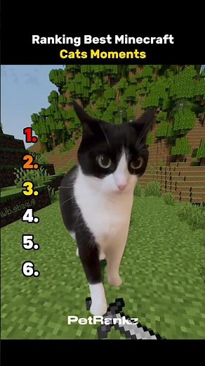 Ranking Best Minecraft Cats Moments 😂😭
