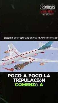 The ghost plane that flew with everyone dead 😨 | True story.