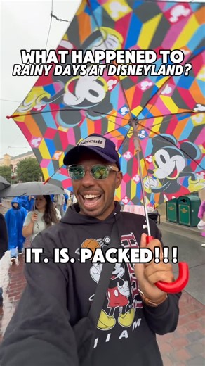 Jeremy Ross Sonkin on Instagram: "Remember the Rainy Day Disneyland Hack? WHERE DID SHE GO?!?! #disneyland #disneyparks #disneycaliforniaadventure #disneyfyp #ropedrop"