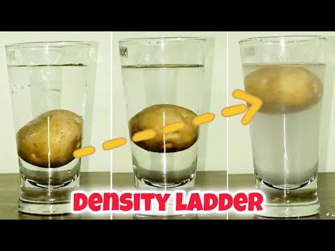 Effect of increasing density on the bouncy of potato in water l Density Ladder
