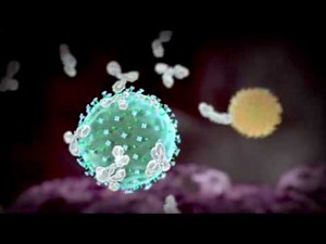 Flu virus animation