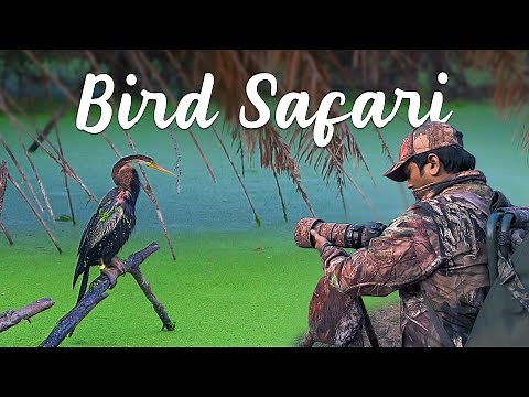EXPERIENCE The REAL Beauty of Bharatpur Bird Sanctuary - 4K Video