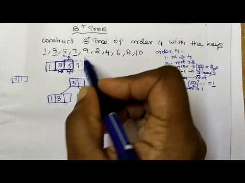 B+ Tree Insertion in Tamil || Data Structures