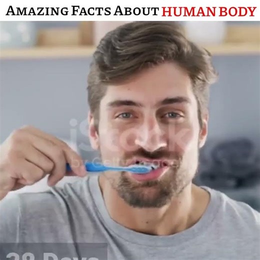 69 Amazing Facts About Human Human body facts #shorts #facts
