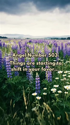 Angel number 503 signals positive change and personal freedom. Trust your intuition, stay open-minded, and take action, these shifts are guiding you toward growth and new opportunities. #503 #angel #fyp #foryou #explore