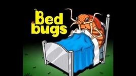 Sml Song Toad- Freeze tag-0