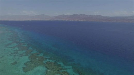 La Mer Rouge dévoilée : un voyage impressionnant en drone au-dessus des merveilles marines