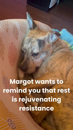 Rest easy, friends. #RestIsResistance #RestTok #SoftResistance #CareCulture #SlowDown