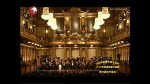 At the age of 9, Chenle was the youngest singer in the world to hold a solo peformance at the famous Golden Hall in Vienna. He performed "Memory" and he said during chenra that it was one of the winter that left a deeper impression on him. CHENLEGEND - alliah | NCT Enthusiast