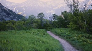 True happiness comes through focusing on the Plan of Salvation. For daily Come, Follow Me lesson insights and inspiration, follow @Brightly.Beams on Instagram! | LDS Living